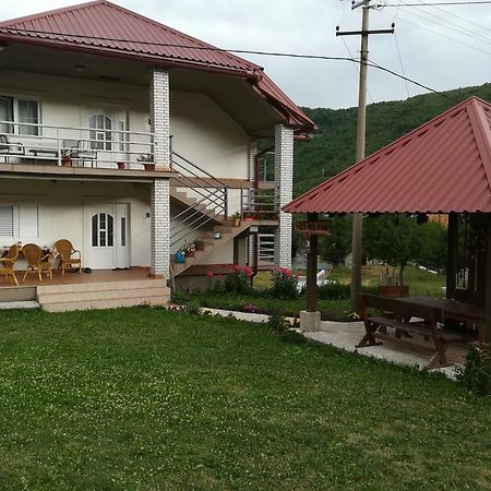 Apartment Mitric Pluzine Εξωτερικό φωτογραφία